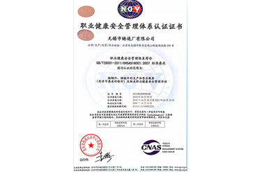 職業(yè)健康安全管理體系認(rèn)證證書(shū)